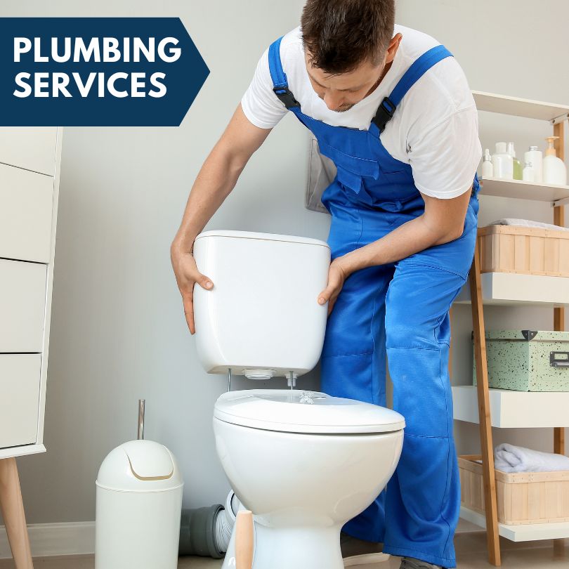 Plumbing Company in Maple Grove, MN
